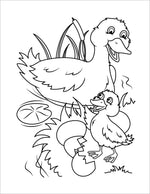 easter colouring book for children spring duckling and mama duck