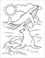 whale coloring page for kids ocean animals for children to color